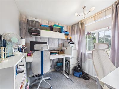 Picture 20